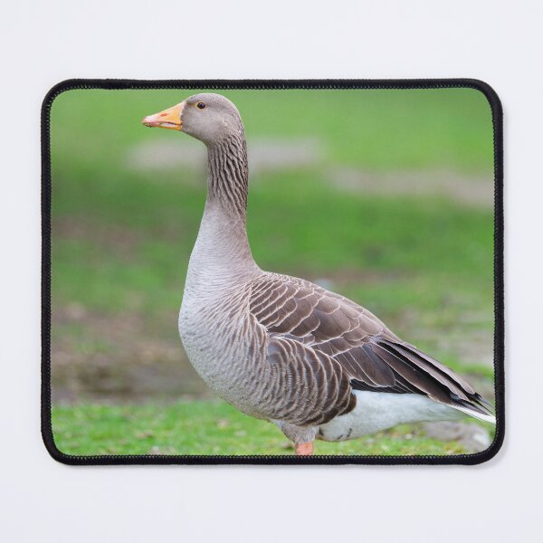Item preview, Goose designed and sold by assaf.