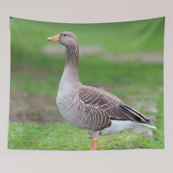 Item preview, Goose designed and sold by assaf.