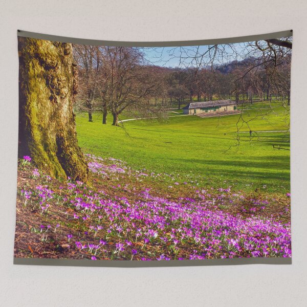 Item preview, Leeds Roundhay Park designed and sold by Alisonchambers2.