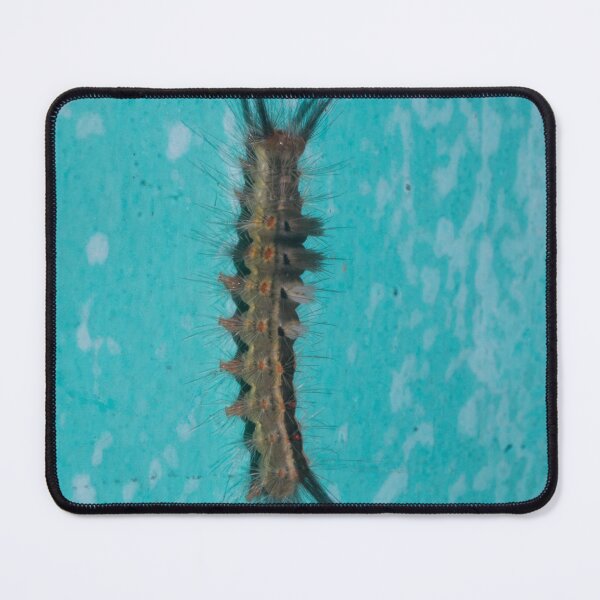 Item preview, Wooly Worm designed and sold by ROSE ANN BANILAR.