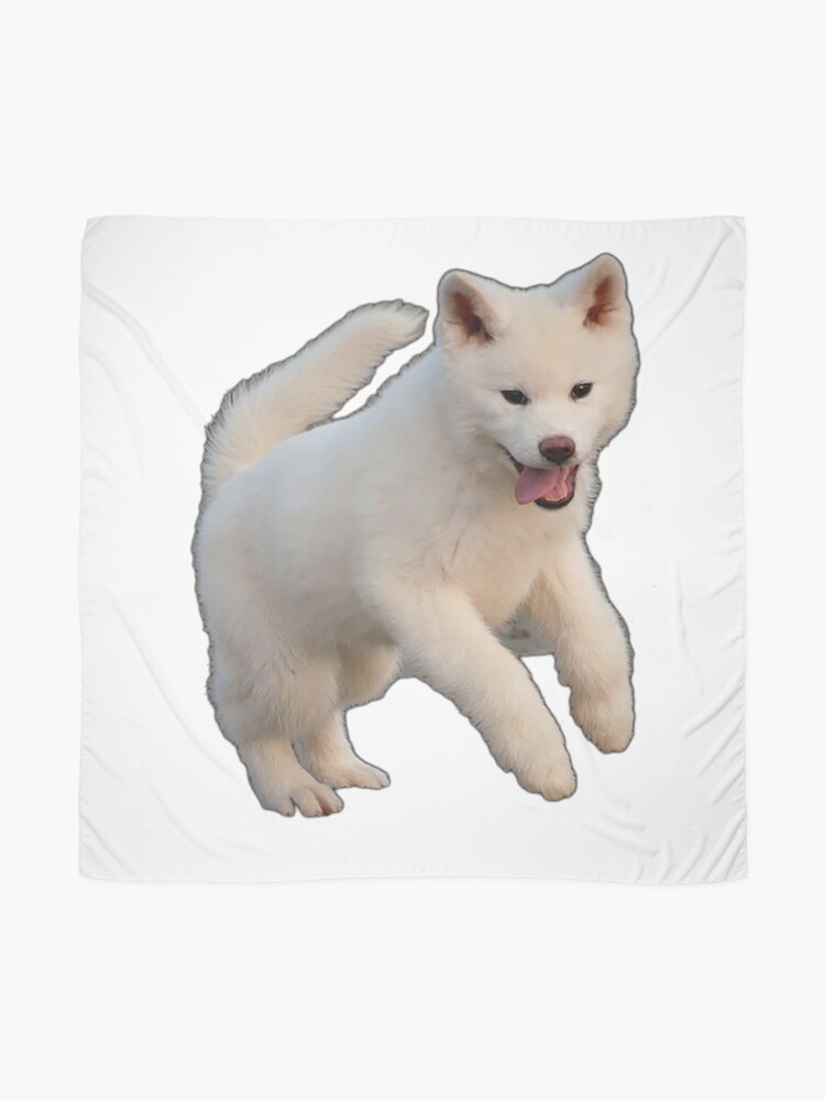 Baby Akita Inu Scarf By Autrouvetout Redbubble
