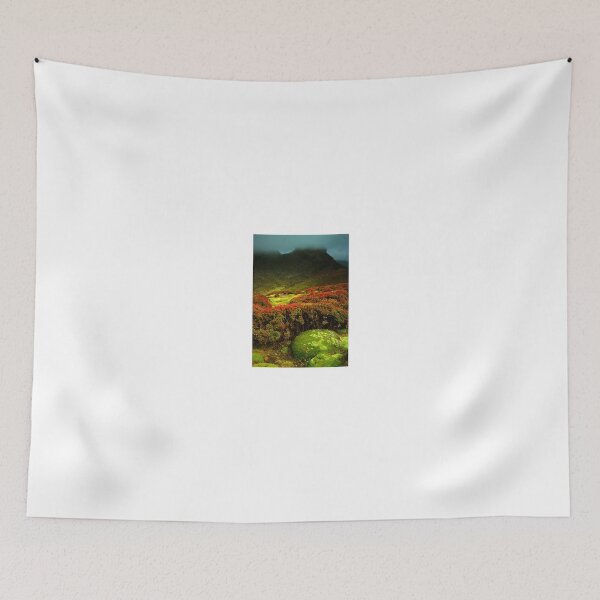 Item preview, Cushion plant and scoparia designed and sold by Kevin McGennan.