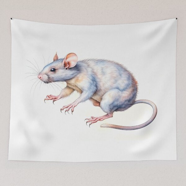 Item preview, Rat on a white background isolated. An illustration in the style of vintage prints from nature books and animal encyclopedias designed and sold by LanaGustavsson.