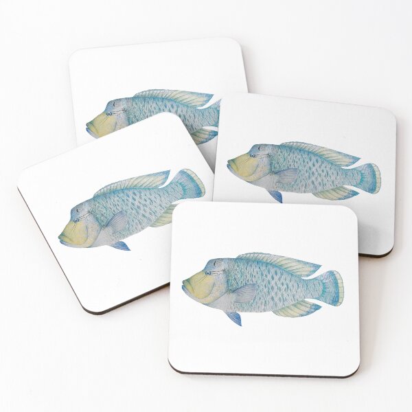 Item preview, Humphead Māori Wrasse designed and sold by Taylor Grosse.