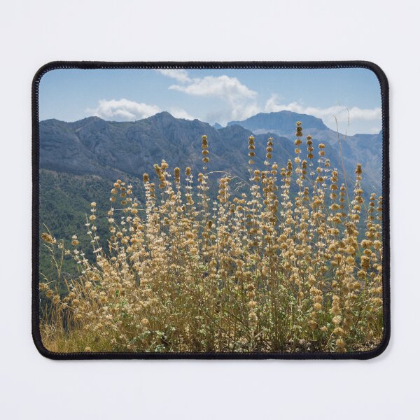 Item preview, Sunny day in the mountains. Plants and blue mountain range designed and sold by Adriana Mueller.