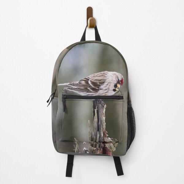 Item preview, Royal bow. Mealy redpoll designed and sold by Jouko Lehto Photography.