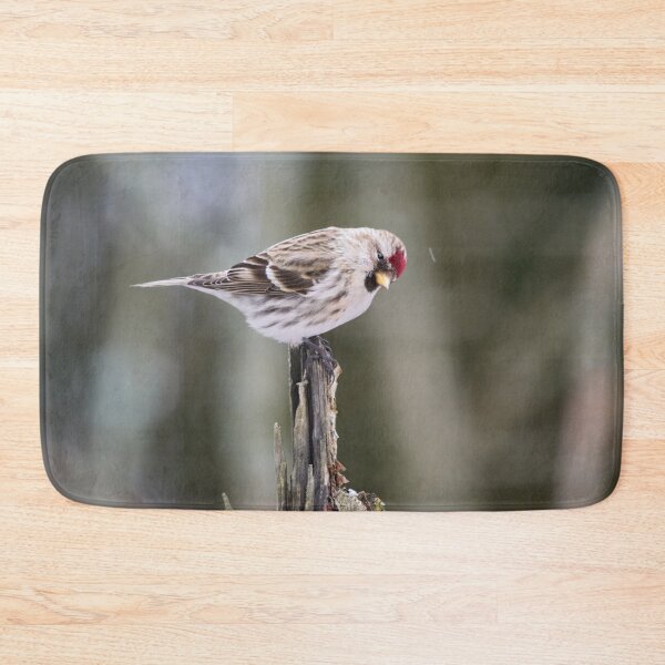 Item preview, Royal bow. Mealy redpoll designed and sold by Jouko Lehto Photography.