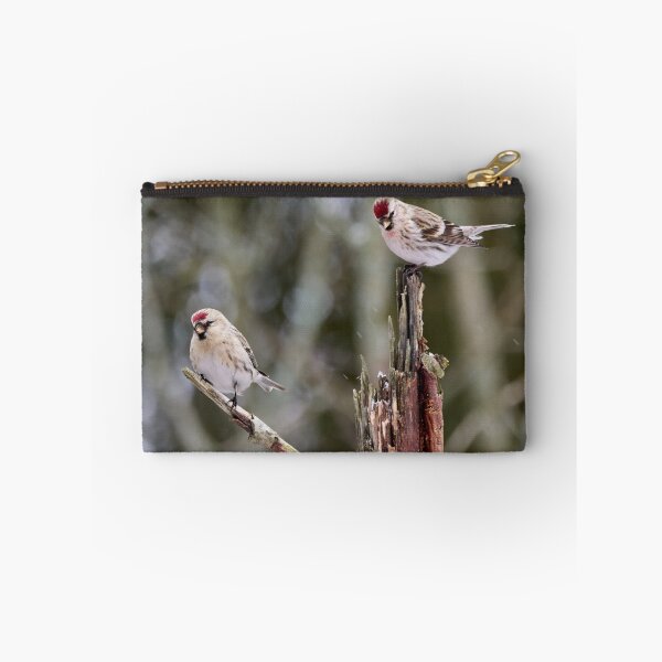 Item preview, Duo Acanthis. Mealy redpoll designed and sold by Jouko Lehto Photography.