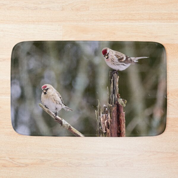 Item preview, Duo Acanthis. Mealy redpoll designed and sold by Jouko Lehto Photography.
