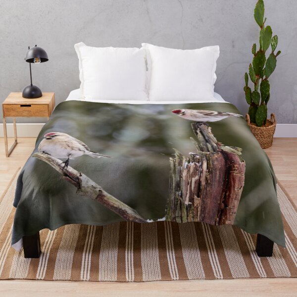 Item preview, Duo Acanthis. Mealy redpoll designed and sold by Jouko Lehto Photography.