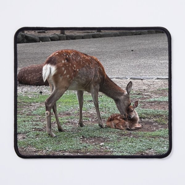 Item preview, Cute deer and fawn  designed and sold by lillifee3000.