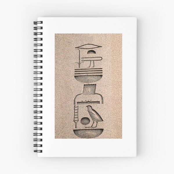 Item preview, Hieroglyphs, carved into the "Egyptian Obelisk", Istanbul, Turkey. designed and sold by Postertale.
