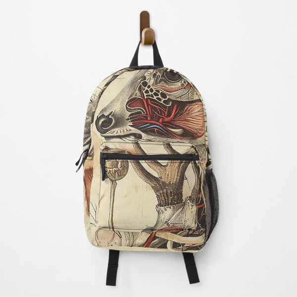 Item preview, Vintage Animal Anatomy Art designed and sold by nomiraclehere.
