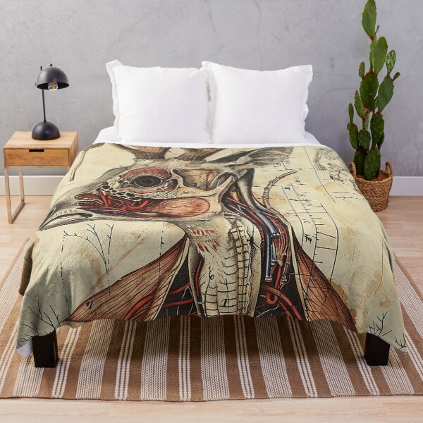 Item preview, Vintage Animal Anatomy Art designed and sold by nomiraclehere.