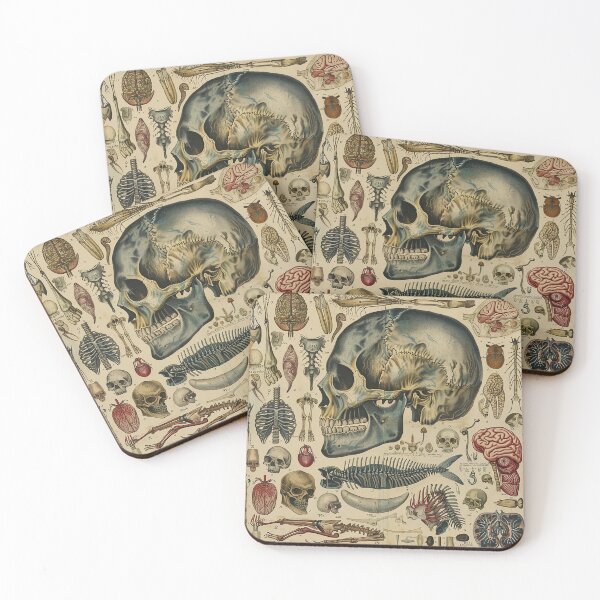 Item preview, Vintage Animal Anatomy Art designed and sold by nomiraclehere.