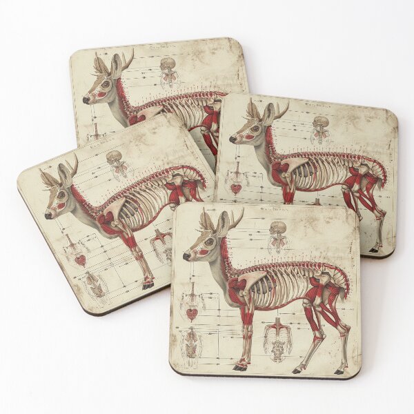 Item preview, Vintage Animal Anatomy Art designed and sold by nomiraclehere.