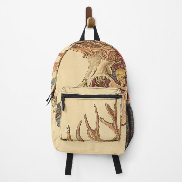 Item preview, Vintage Animal Anatomy Art designed and sold by nomiraclehere.