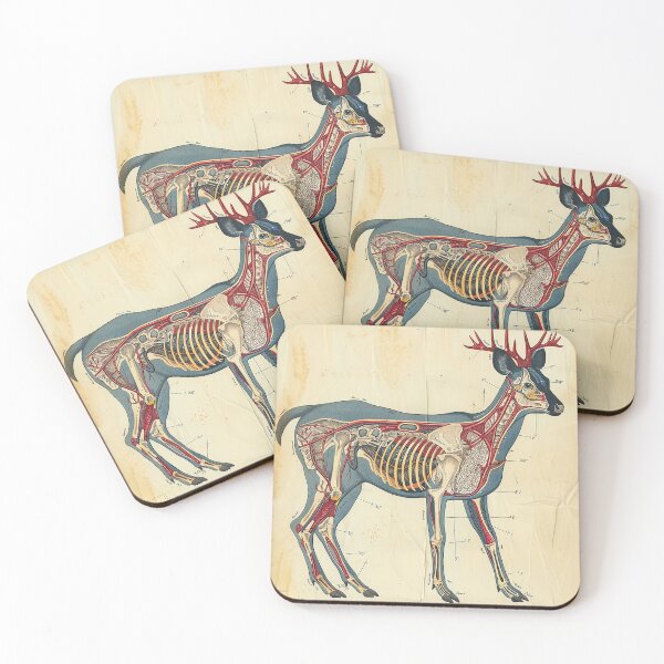 Item preview, Vintage Animal Anatomy Art designed and sold by nomiraclehere.