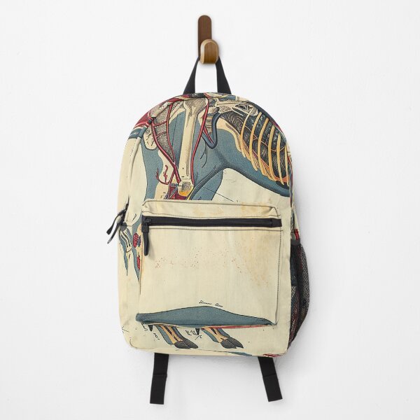 Item preview, Vintage Animal Anatomy Art designed and sold by nomiraclehere.