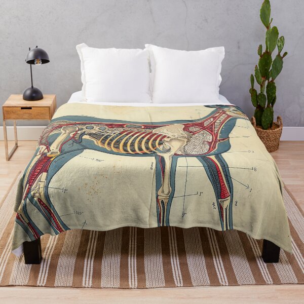 Item preview, Vintage Animal Anatomy Art designed and sold by nomiraclehere.