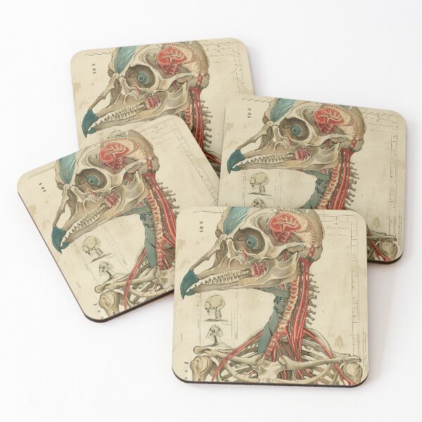 Item preview, Vintage Animal Anatomy Art designed and sold by nomiraclehere.