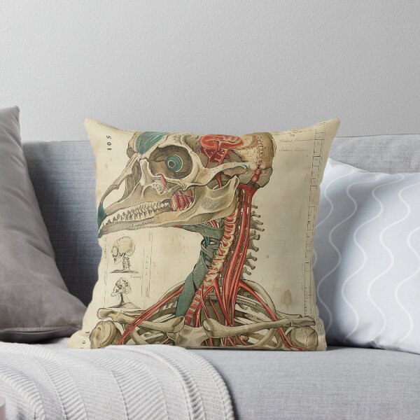 Item preview, Vintage Animal Anatomy Art designed and sold by nomiraclehere.