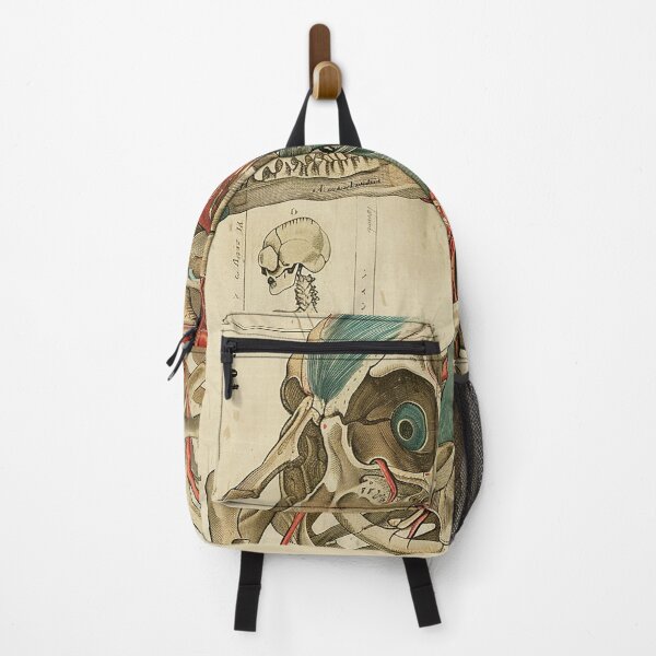 Item preview, Vintage Animal Anatomy Art designed and sold by nomiraclehere.