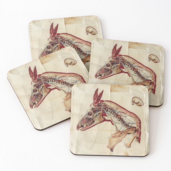 Item preview, Vintage Animal Anatomy Art designed and sold by nomiraclehere.