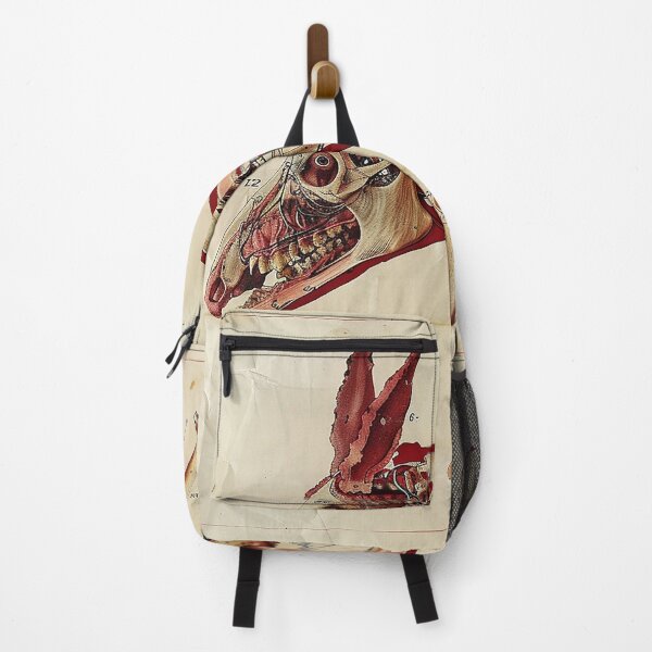 Item preview, Vintage Animal Anatomy Art designed and sold by nomiraclehere.