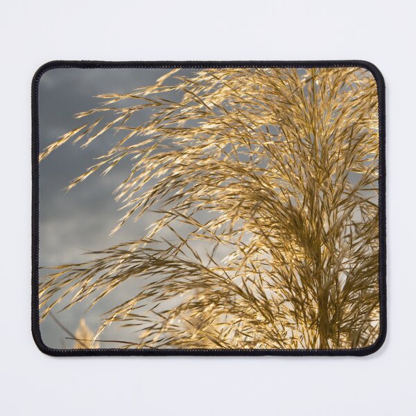 Item preview, Golden pampas grass, clouds and sunlight 6 designed and sold by Adriana Mueller.