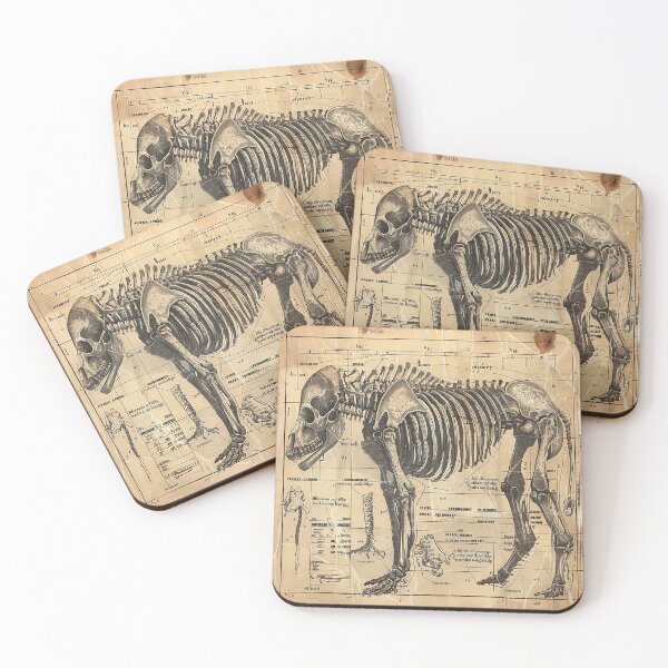 Item preview, Vintage Animal Anatomy Art designed and sold by nomiraclehere.