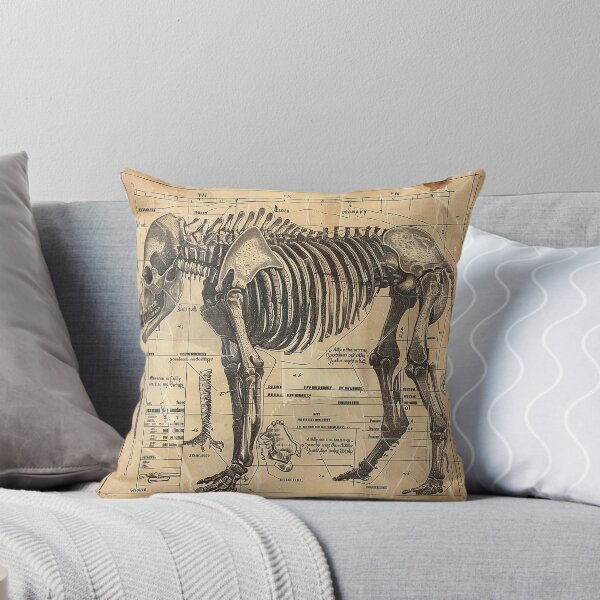 Item preview, Vintage Animal Anatomy Art designed and sold by nomiraclehere.