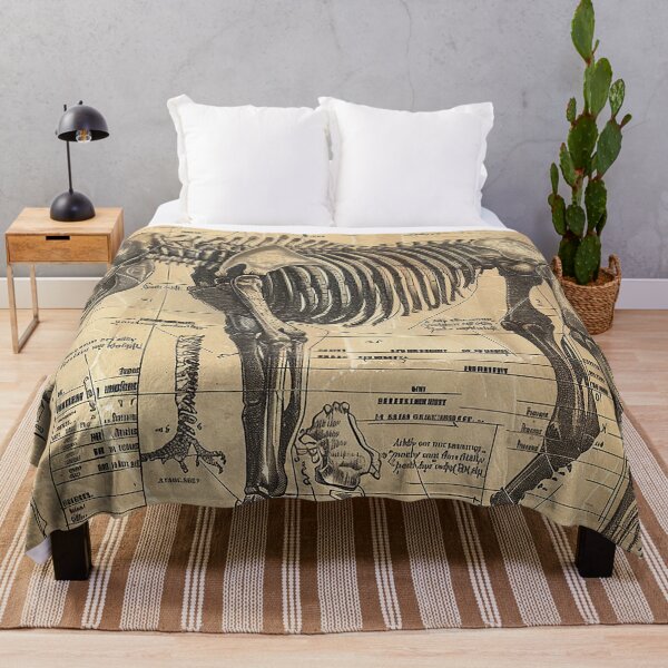 Item preview, Vintage Animal Anatomy Art designed and sold by nomiraclehere.