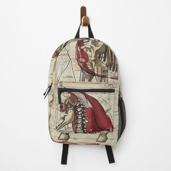 Item preview, Vintage Animal Anatomy Art designed and sold by nomiraclehere.