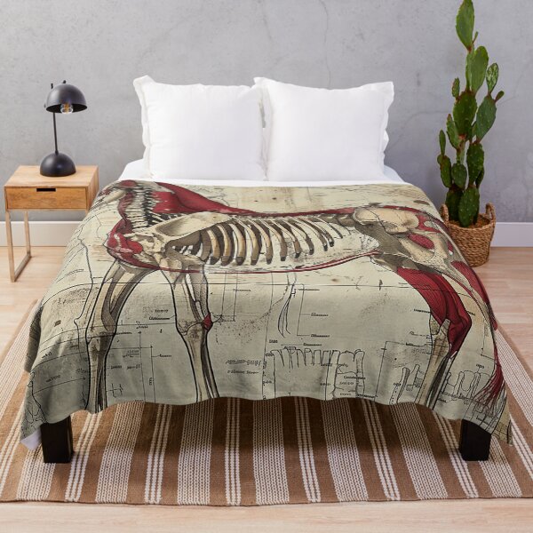 Item preview, Vintage Animal Anatomy Art designed and sold by nomiraclehere.