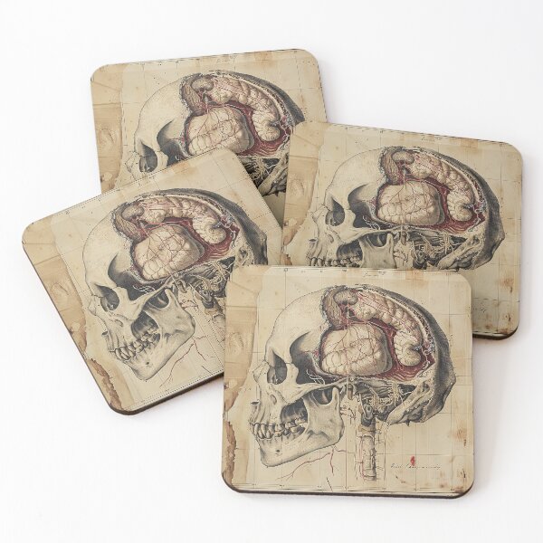 Item preview, Vintage Animal Anatomy Art designed and sold by nomiraclehere.