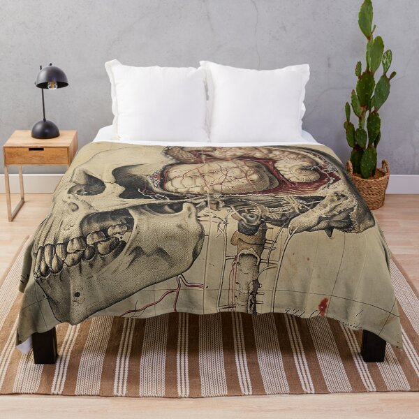 Item preview, Vintage Animal Anatomy Art designed and sold by nomiraclehere.