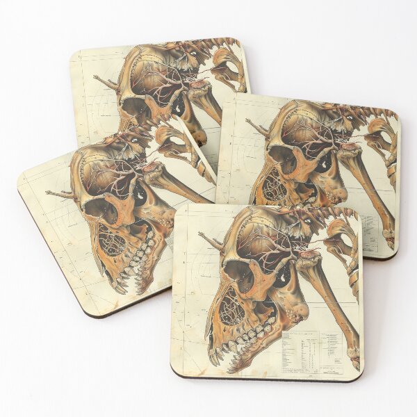 Item preview, Vintage Animal Anatomy Art designed and sold by nomiraclehere.