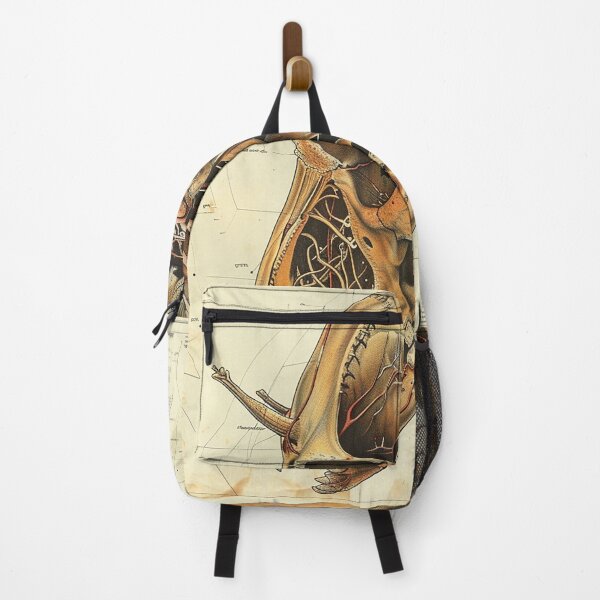 Item preview, Vintage Animal Anatomy Art designed and sold by nomiraclehere.