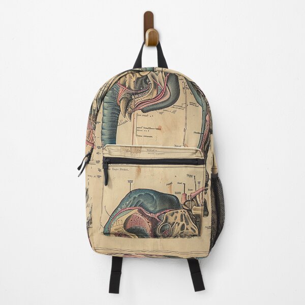 Item preview, Vintage Animal Anatomy Art designed and sold by nomiraclehere.