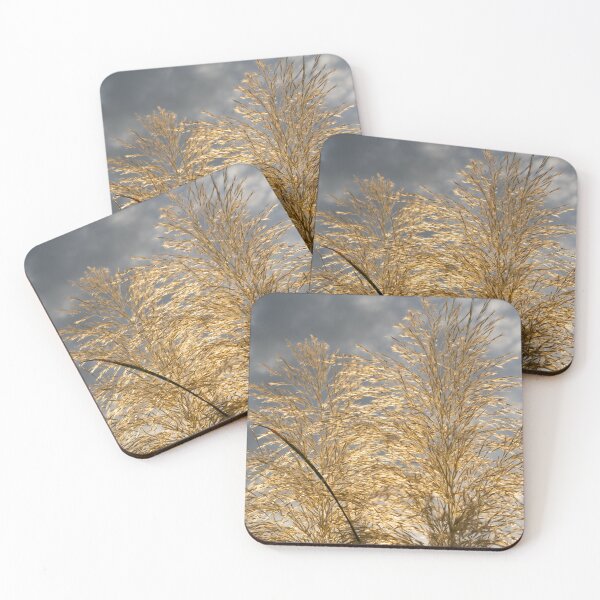 Item preview, Golden pampas grass, clouds and sunlight 3 designed and sold by Adriana Mueller.
