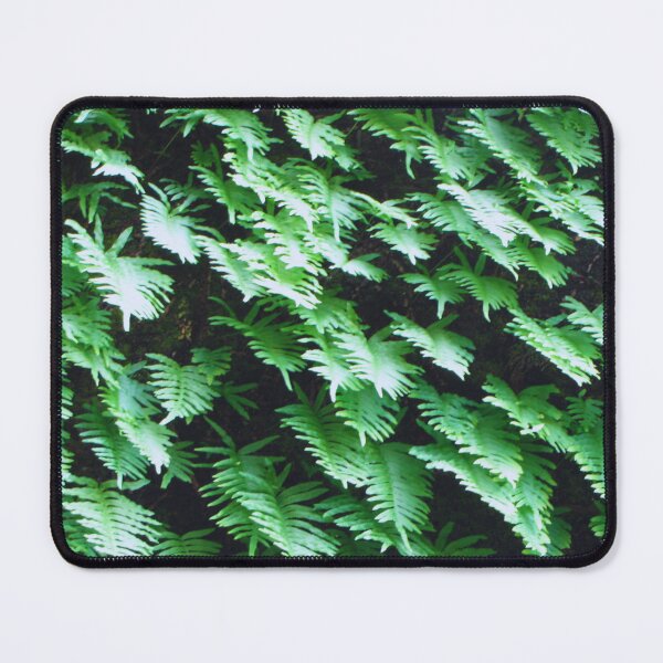 Item preview, Madeira ferns designed and sold by StonePine.
