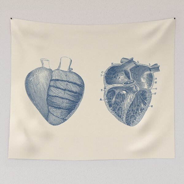 Item preview, Heart Diagram - Dual View - Vintage Anatomy designed and sold by VAposters.