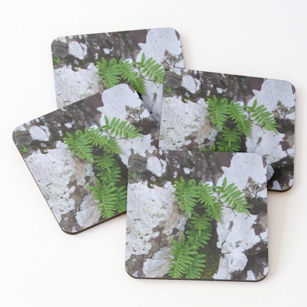 Item preview, A lonely fern designed and sold by StonePine.