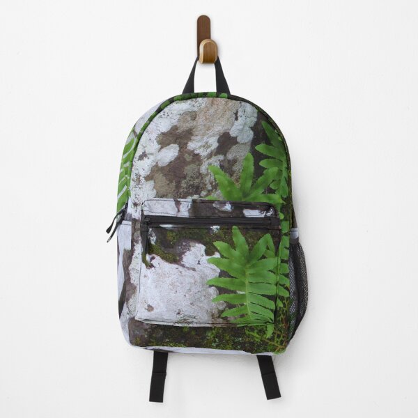 Item preview, A lonely fern designed and sold by StonePine.