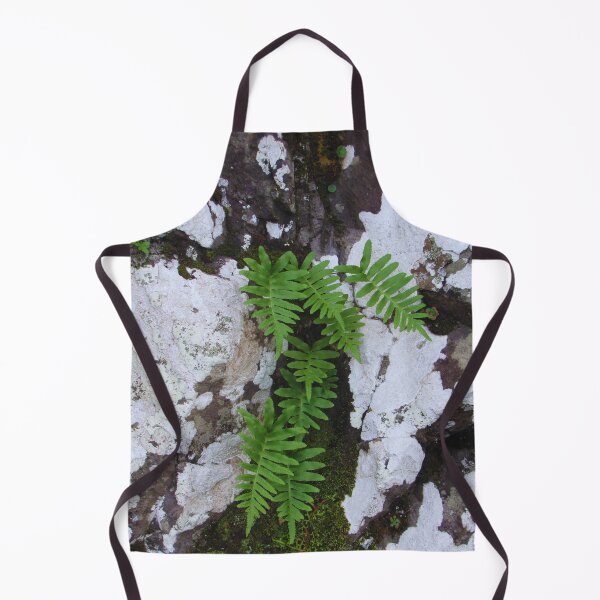 Item preview, A lonely fern designed and sold by StonePine.