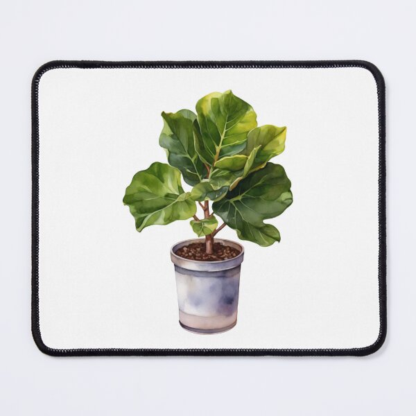 Item preview,  potting fiddle leaf fig designed and sold by Cuddleblossom.