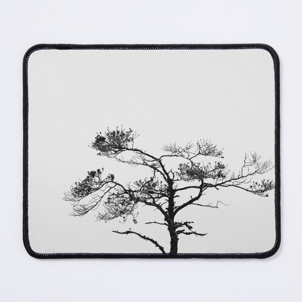 Item preview, 28.2.2024: Pine Tree designed and sold by Petri Volanen.