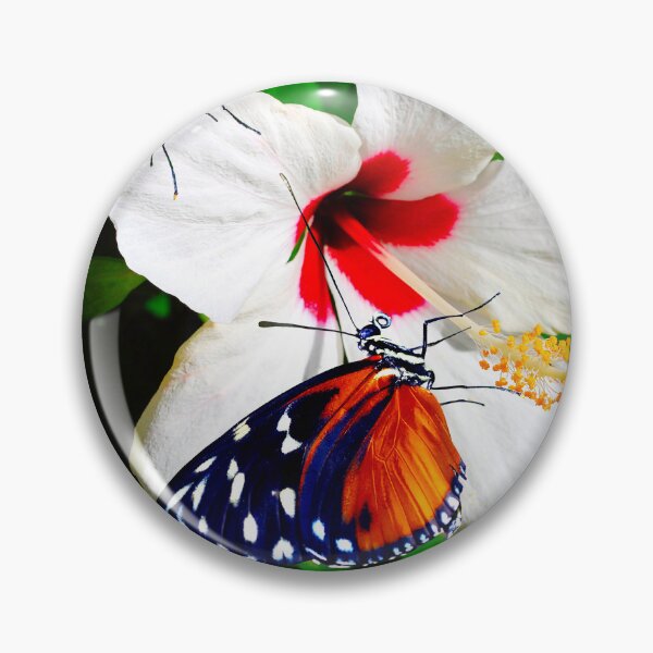 Artikelvorschau, Zwei Heliconius hecate-Schmetterlinge bestäuben eine Hibiskusblüte entworfen und verkauft von Peter Etchells.