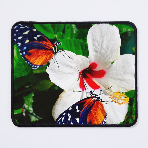 Item preview, Two Heliconius hecate butterflies pollinating a Hibiscus flower designed and sold by Peter Etchells.